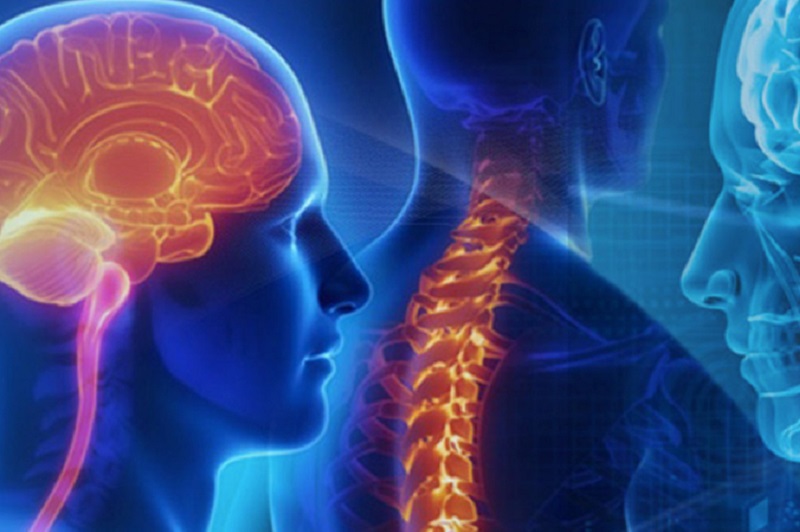 BRAIN & SPINE SURGERY