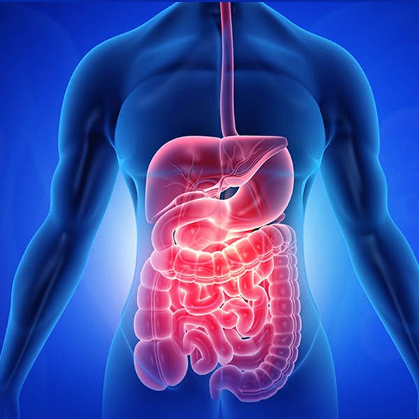 GASTROENTEROLOGY