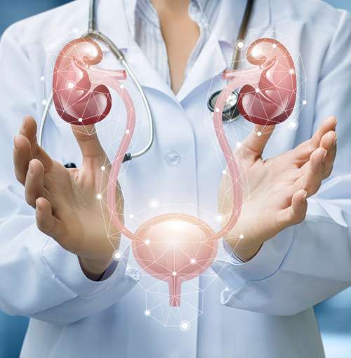 UROLOGY SURGERY